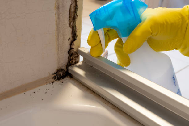 Best Mold Testing  in Aztec, NM