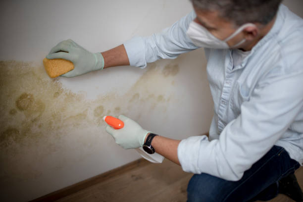 Crawl Space Mold Removal in Aztec, NM